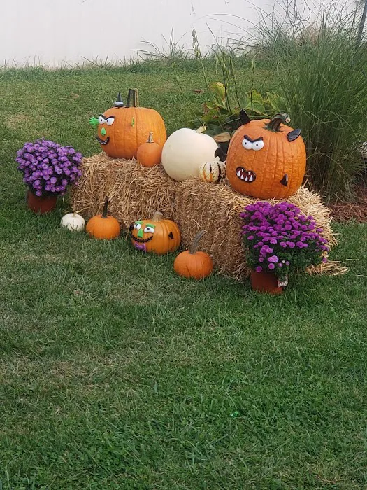 Honey Creek MHP Picture 1