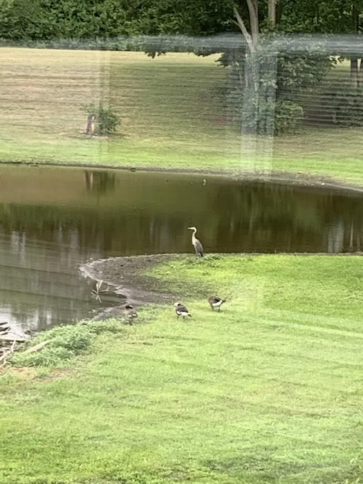 Country Haven Mobile Home Park Picture 7