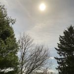 Country Haven Mobile Home Park