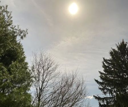 Country Haven Mobile Home Park