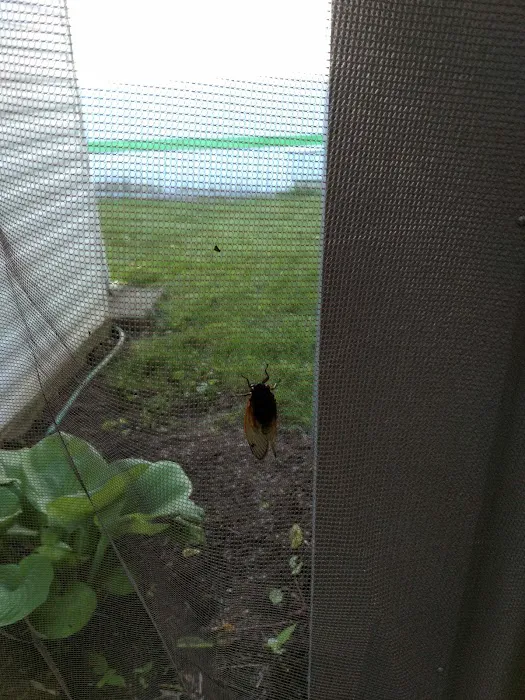 Country Haven Mobile Home Park Picture 2