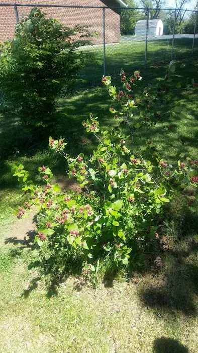 Fairborn Mobile Home Inc 55 + Picture 1