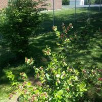 Fairborn Mobile Home Inc 55 + ico