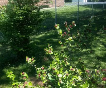 Fairborn Mobile Home Inc 55 +