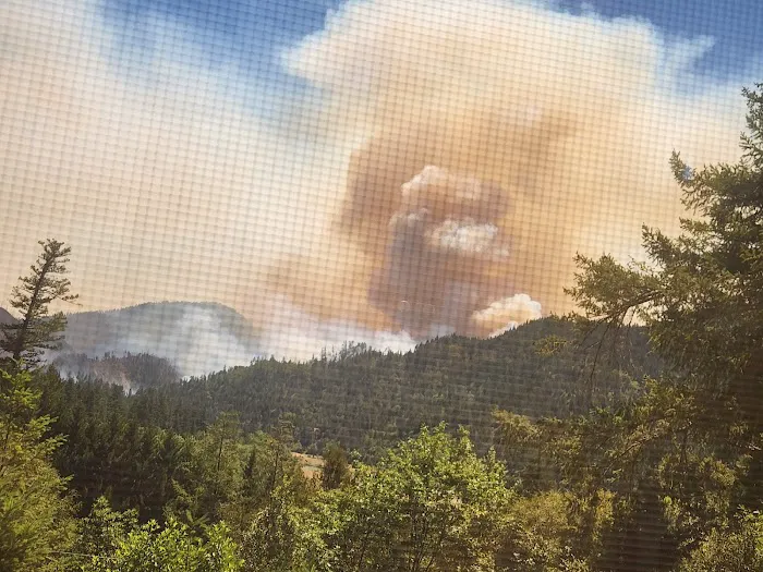 Oak Flat Campground Picture 7