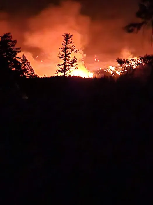 Oak Flat Campground Picture 5