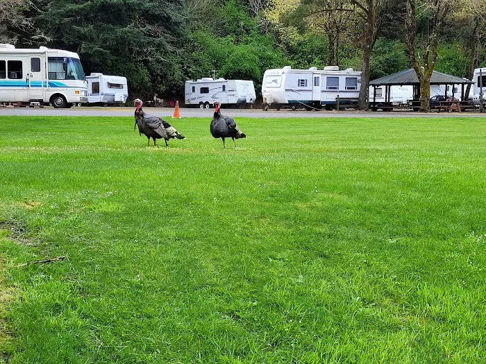 Indian Creek Campground Picture 3