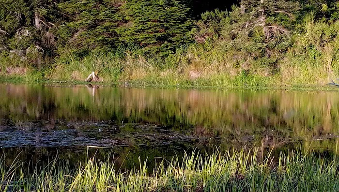 Indian Creek Campground Picture 7