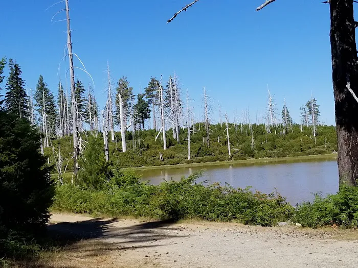 Game Lake Campground Picture 2