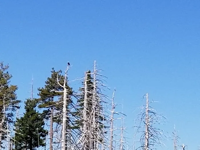 Game Lake Campground Picture 1