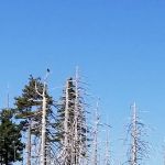 Game Lake Campground