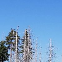 Game Lake Campground ico