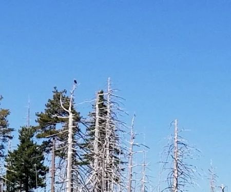 Game Lake Campground