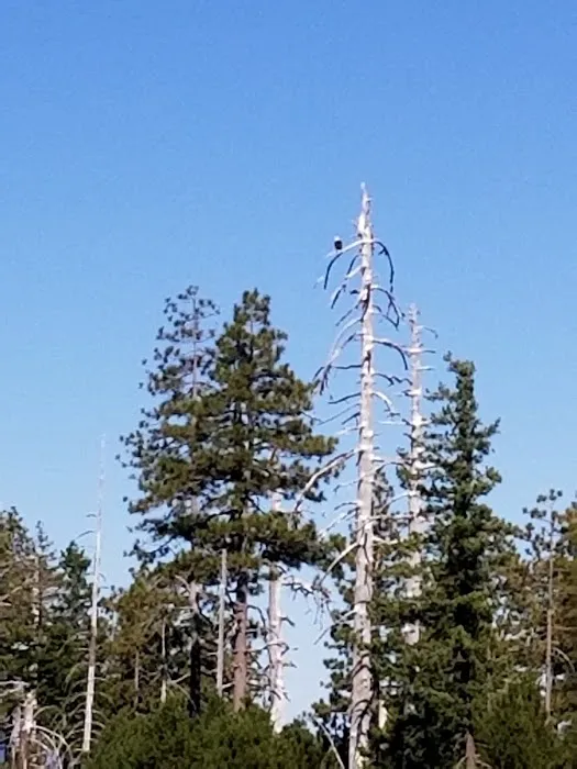 Game Lake Campground Picture 5