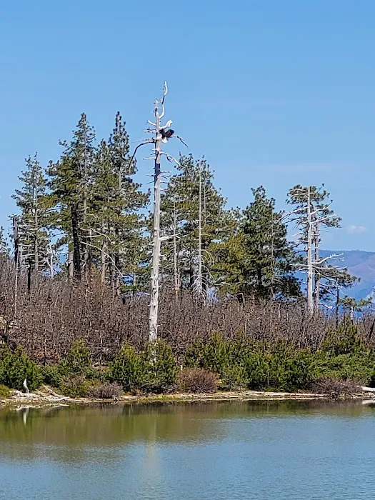 Game Lake Campground Picture 6