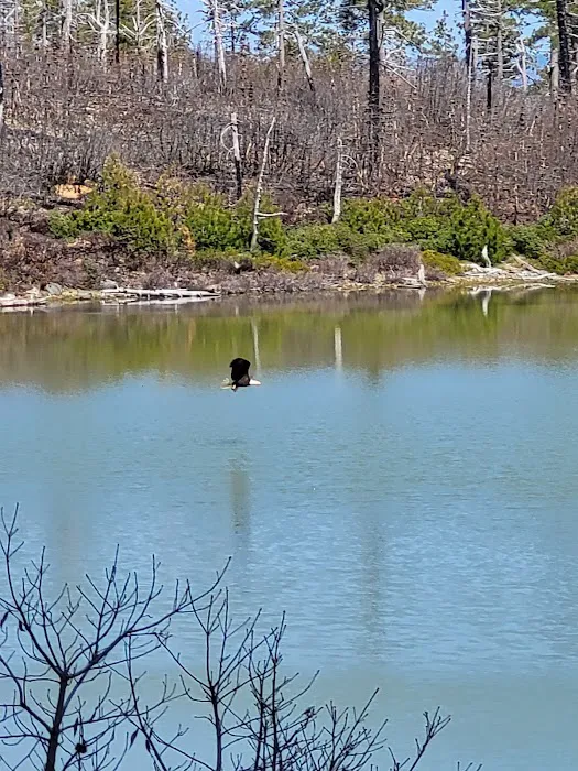 Game Lake Campground Picture 9