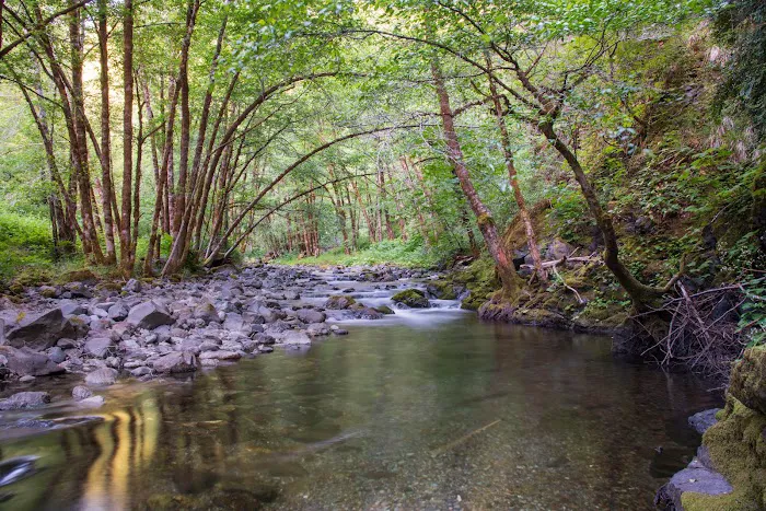 Tucker Flat Campground Picture 6