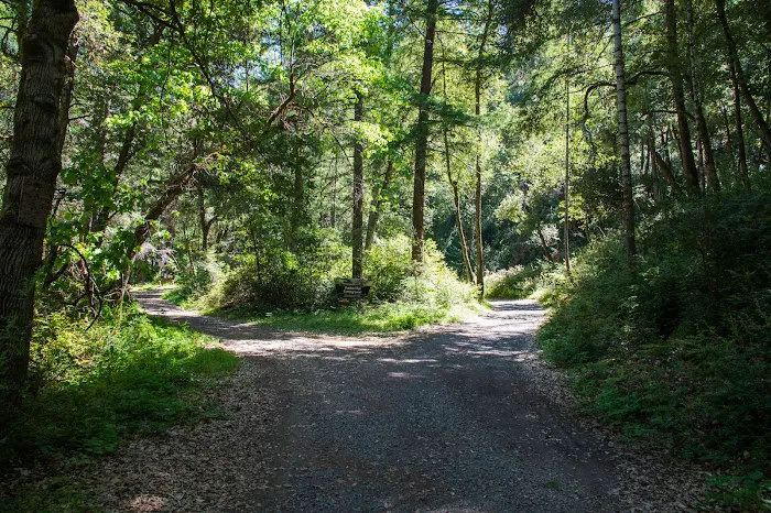Tucker Flat Campground Picture 9