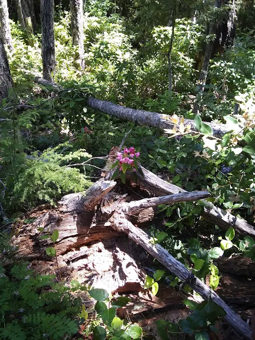 Eden Valley Campground Picture 2