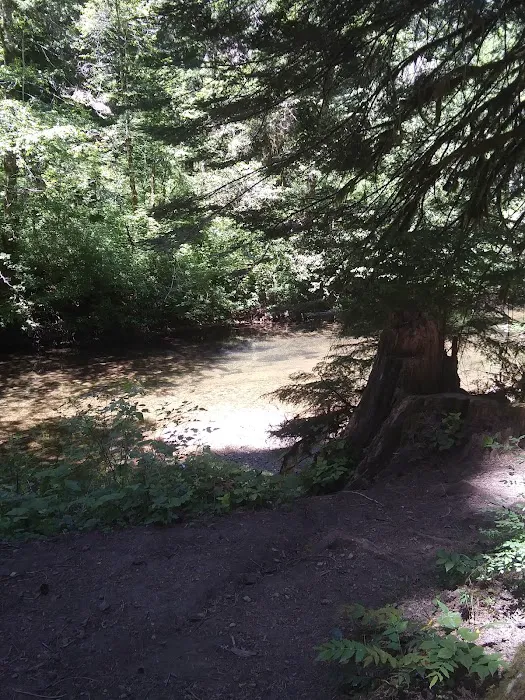 Eden Valley Campground Picture 5