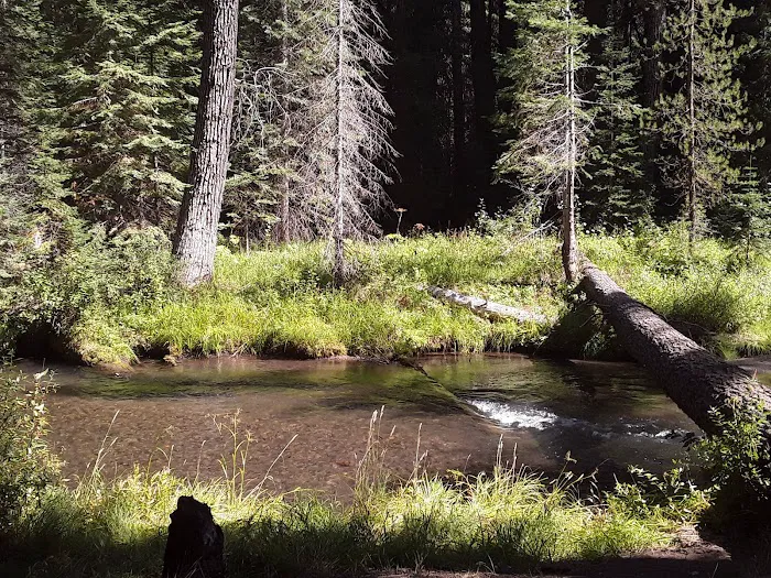 Annie Creek Sno-Park Picture 6