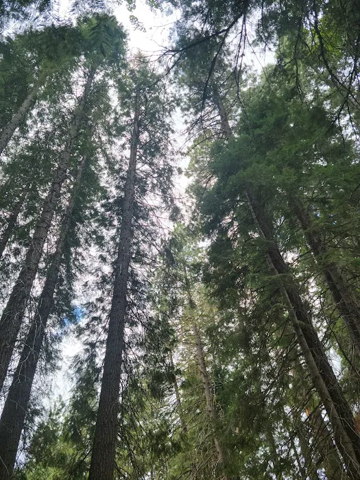 Annie Creek Sno-Park Picture 3