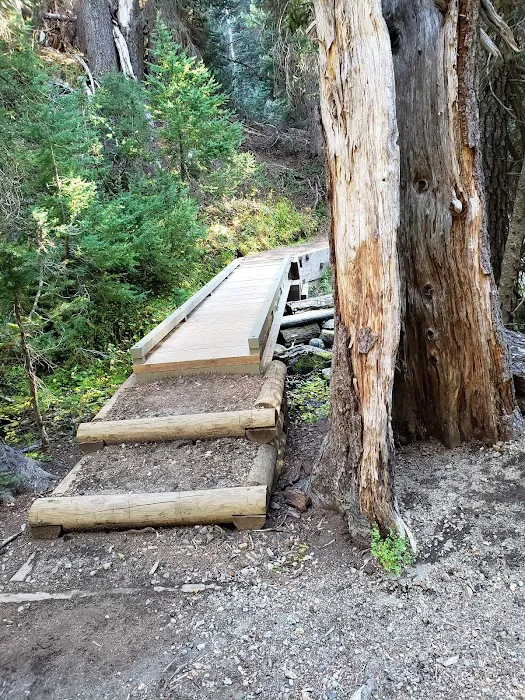 Mazama Campground Picture 4