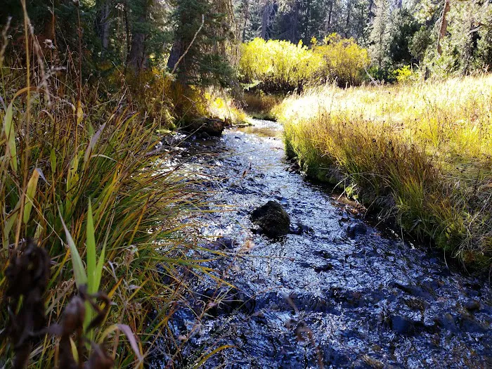 Mazama Campground Picture 3