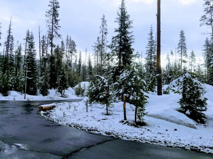 Mazama Village Campground & Cabins Picture 10