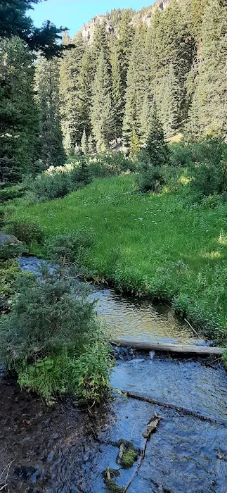 Mazama Village Campground & Cabins Picture 5