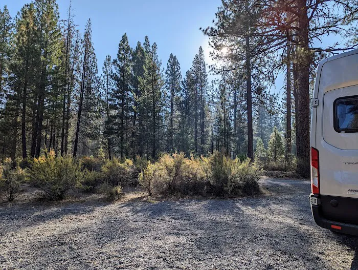 Williamson River Campground Picture 1