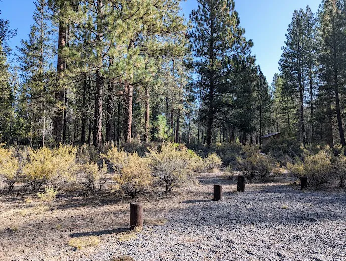 Williamson River Campground Picture 5