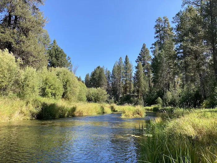 Williamson River Campground Picture 7