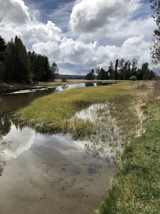 Williamson River Campground Picture 8