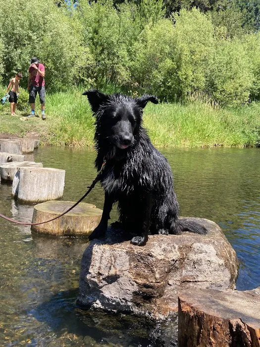 Williamson River Campground Picture 10