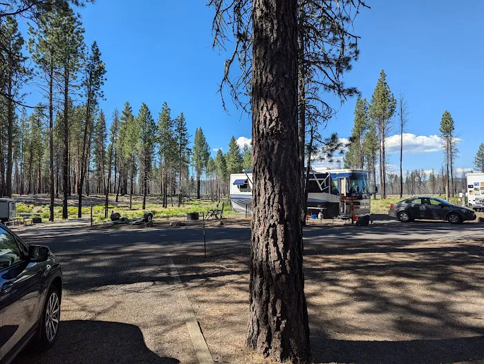 Collier Memorial State Park Campground Picture 8