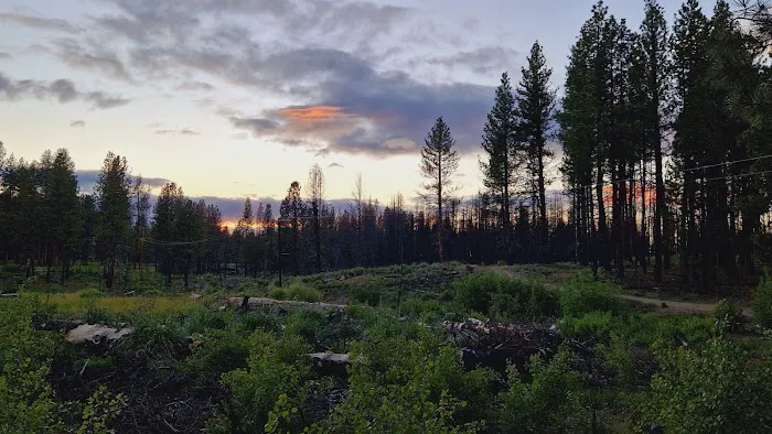 Collier Memorial State Park Campground Picture 5