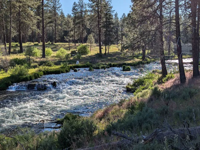 Collier Memorial State Park Campground Picture 6