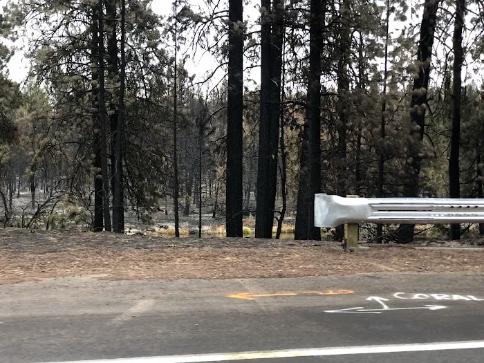 Collier Memorial State Park Campground Picture 9