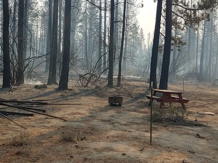 Heartline Ranch, LLC Picture 7