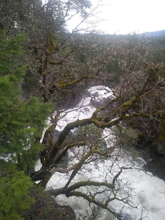 US Forestry Department Picture 5