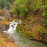 Grants Pass KOA Journey