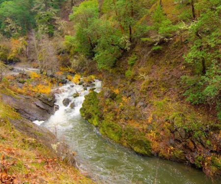 Grants Pass KOA Journey