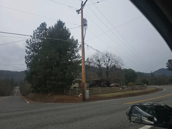 La La Land Picture 1