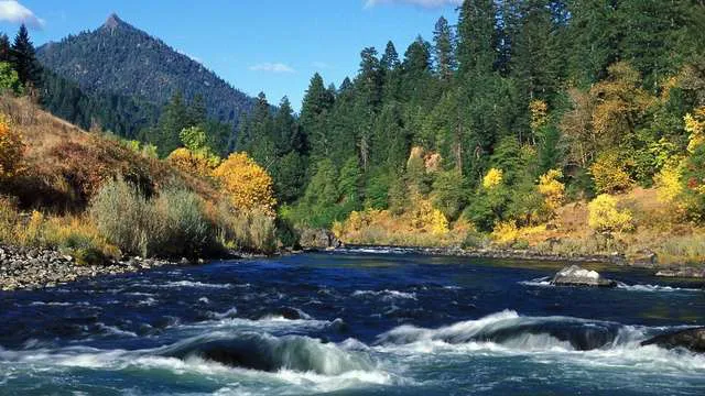 Rogue River Campground & RV Resort Picture 2