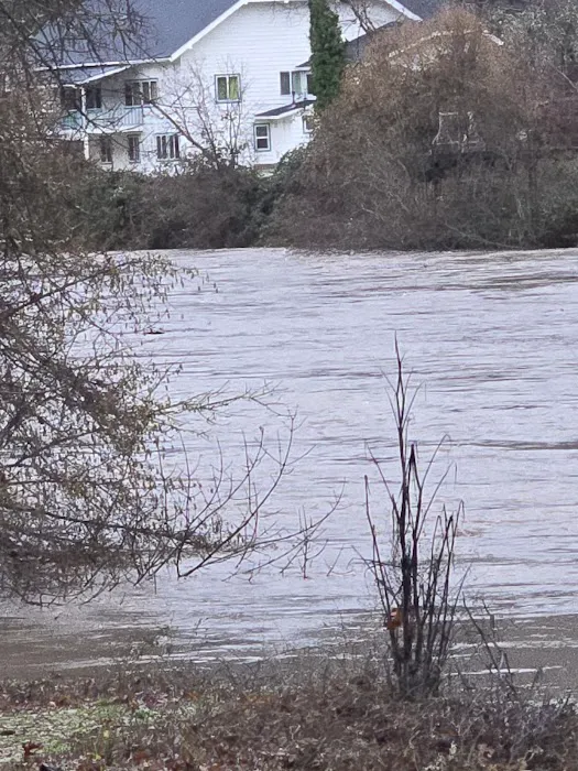 Rogue River Campground & RV Resort Picture 1