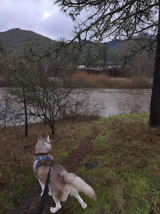 Rogue River Campground & RV Resort Picture 8