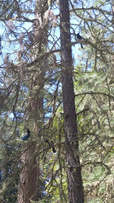 Almeda County Park Picture 2