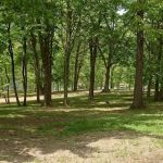 DEERLAND RV PARK, LLC
