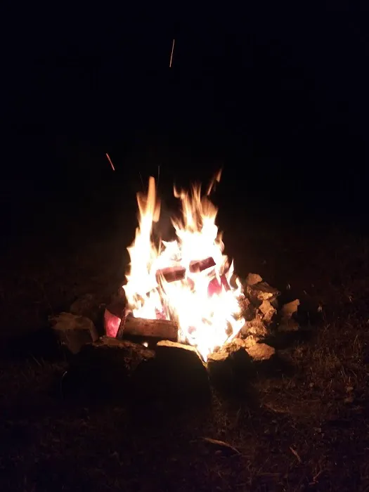 Skull Creek Campground Picture 5